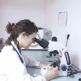 EMMA LABORATORIO